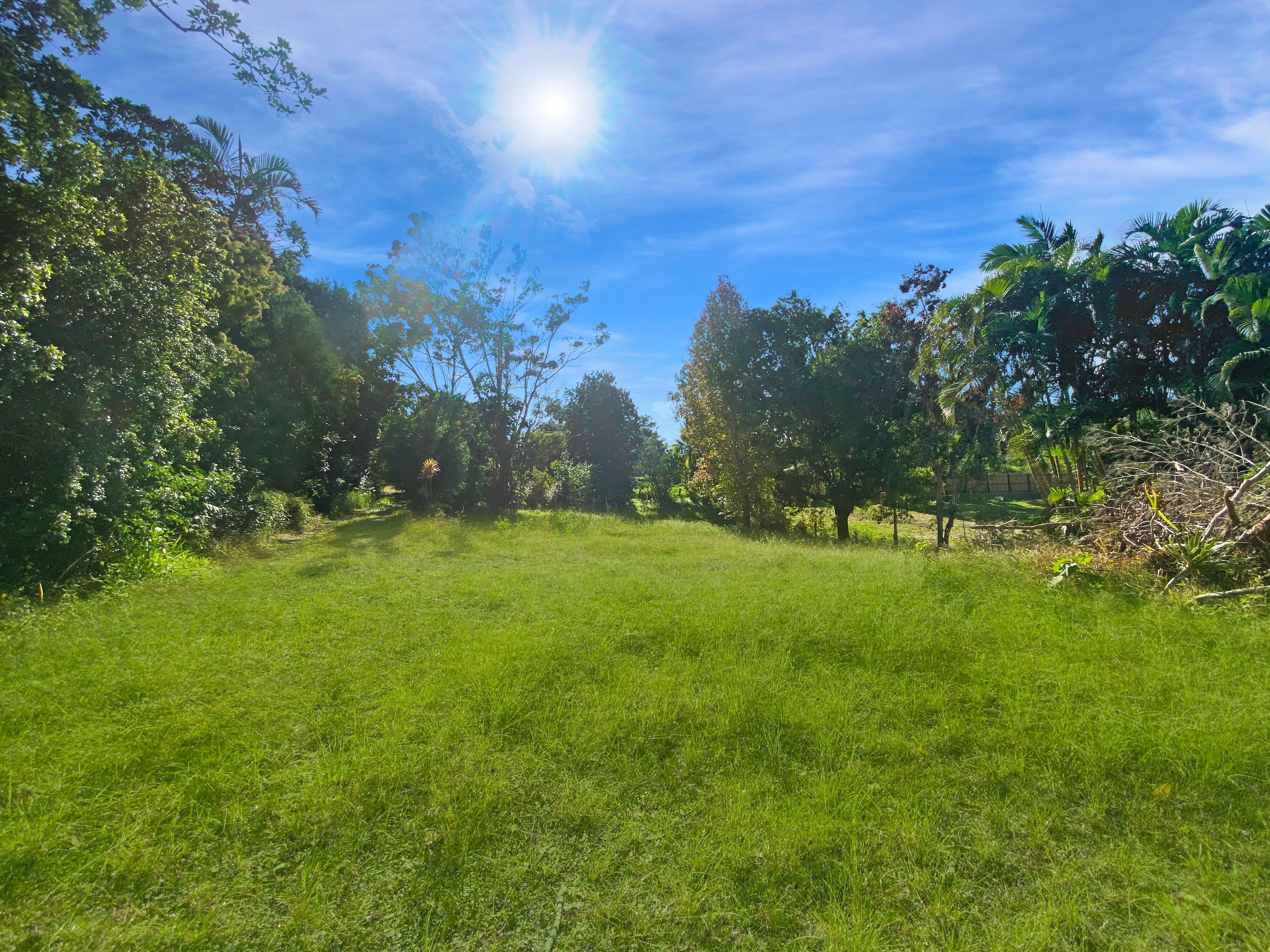 53 Landsborough - Maleny Road, Landsborough QLD 4550, Landsborough - Thumbnail 5