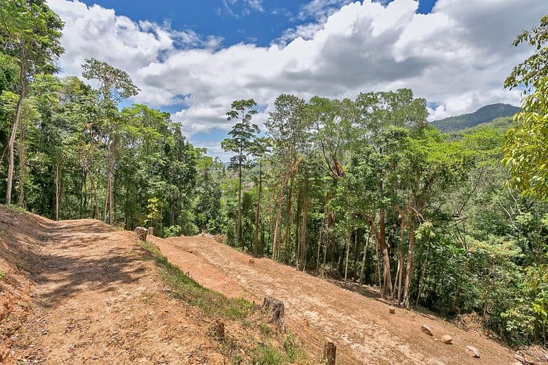 139-143 Stanton Road, Smithfield QLD 4878, Smithfield - Thumbnail 2