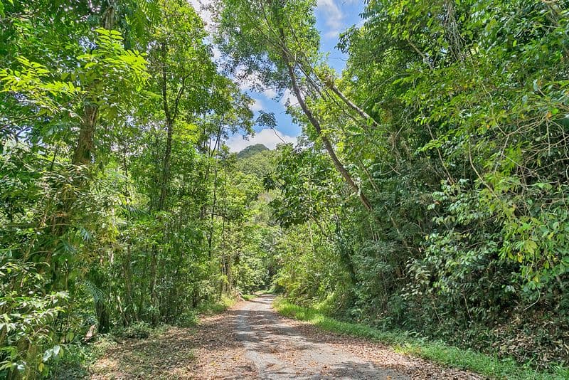 139-143 Stanton Road, Smithfield QLD 4878, Smithfield - Thumbnail 5