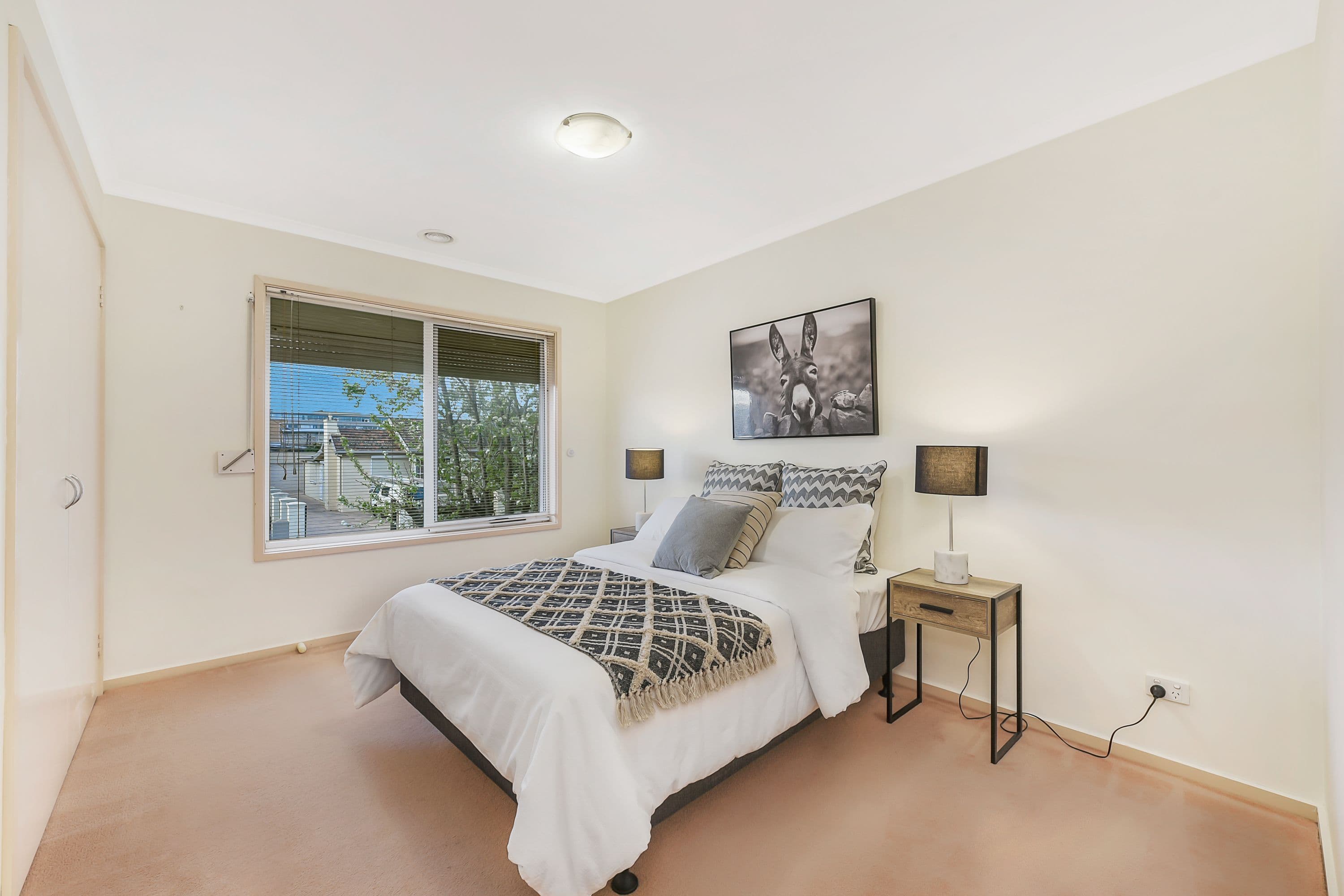 2B Francis Street, Clayton VIC 3168, Clayton - Thumbnail 8