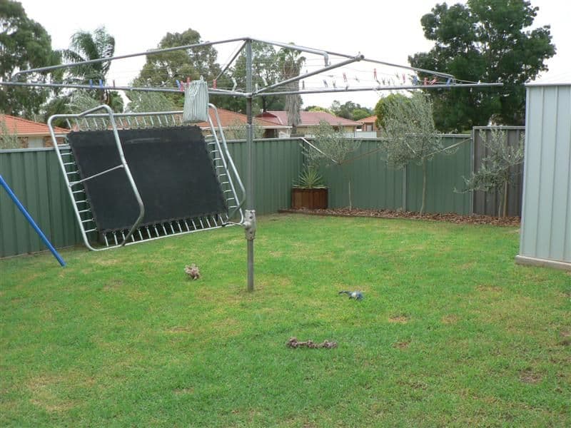 16 Furlong Street, DUBBO NSW 2830, Dubbo - Thumbnail 7