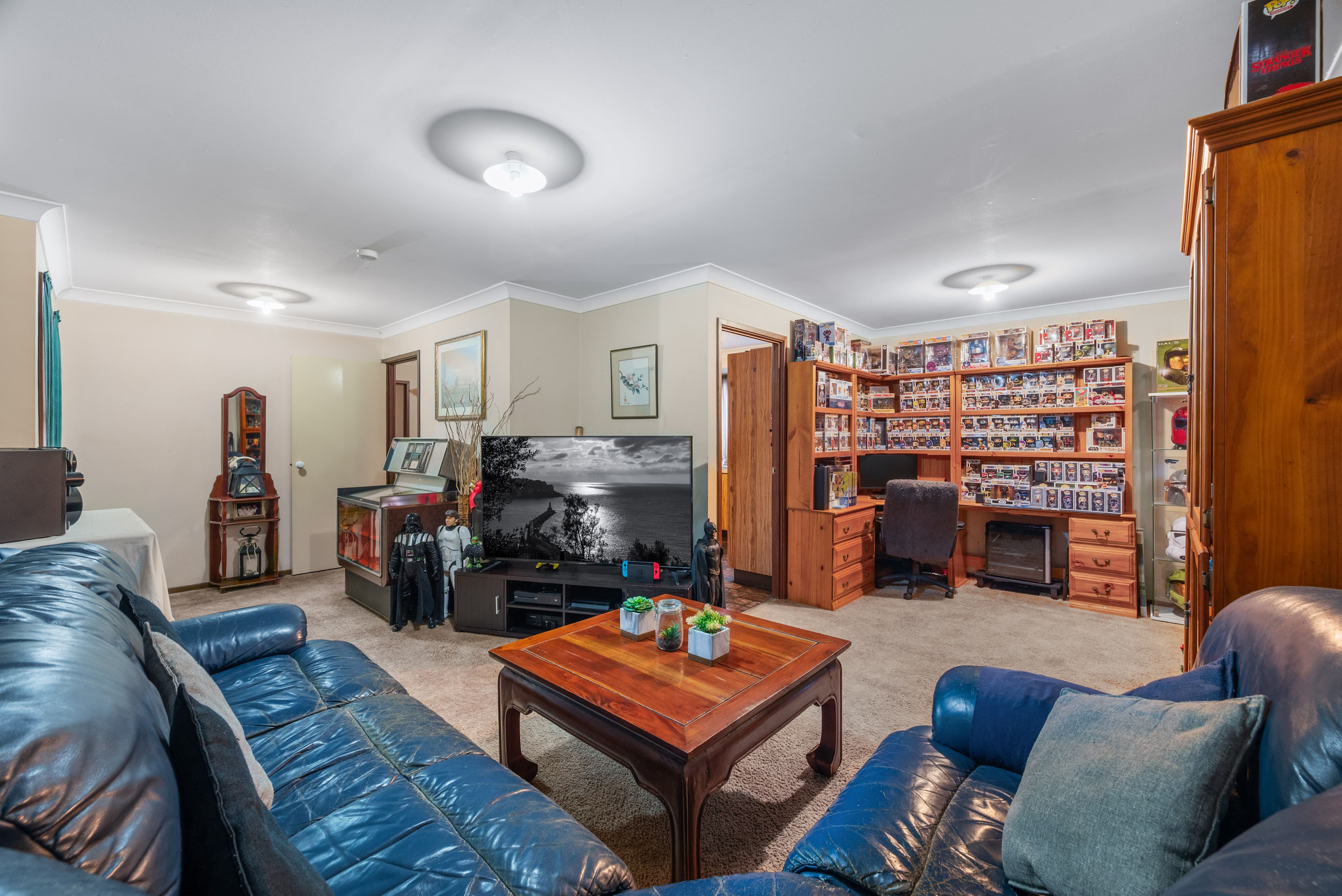13 Boythorn Avenue, Ambarvale NSW 2560, Ambarvale - Thumbnail 6