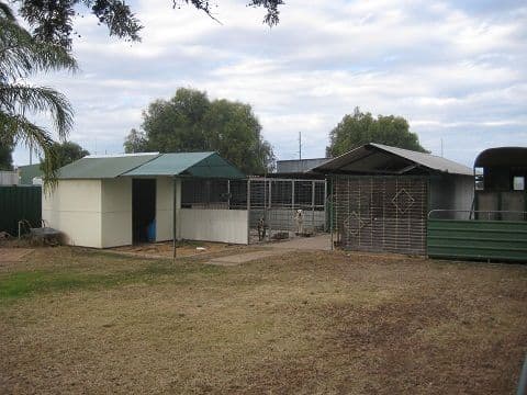 133 Castlereagh Street, COONAMBLE NSW 2829, Coonamble - Thumbnail 8