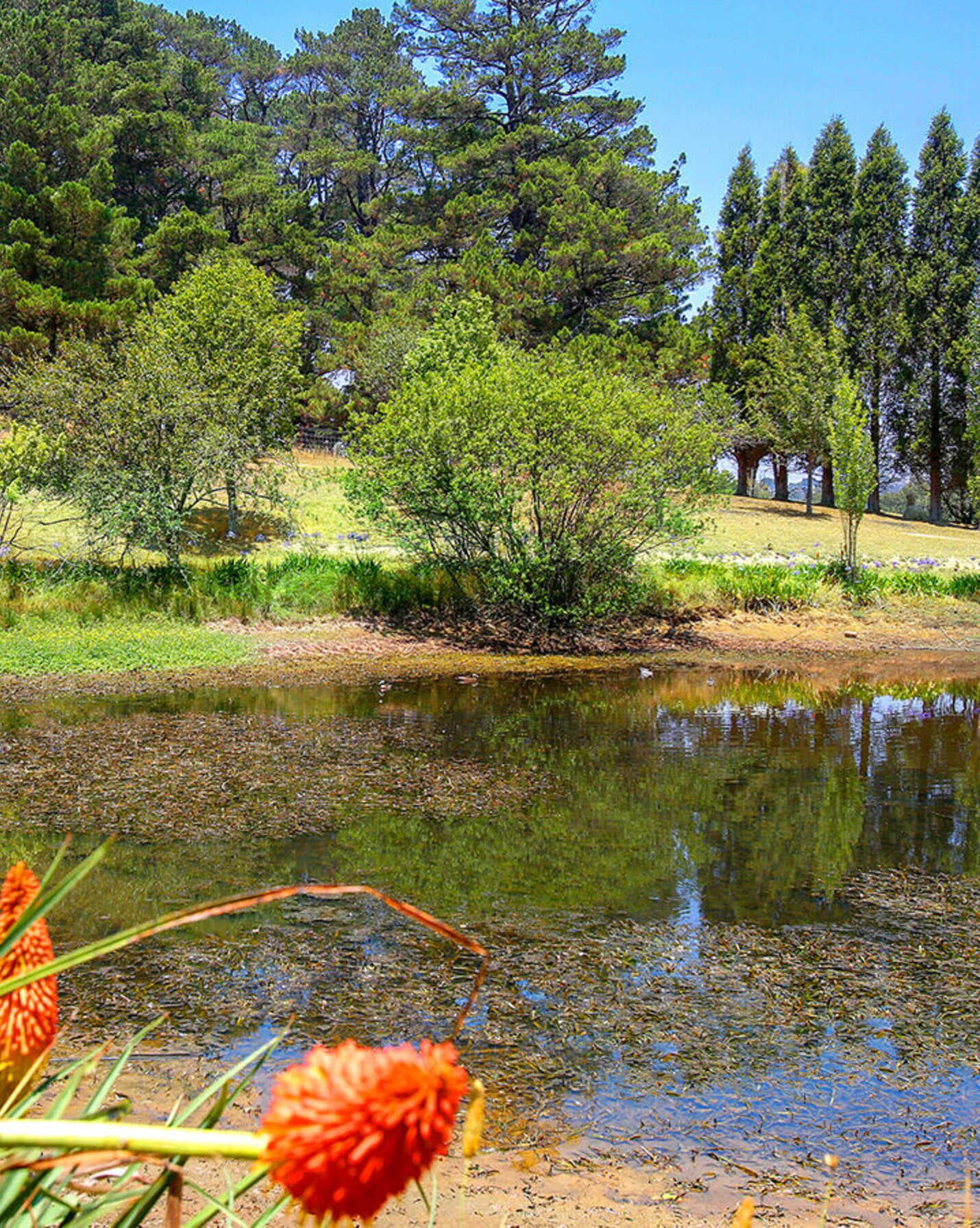 23 Phillip Street Burradoo, Burradoo - Thumbnail 3