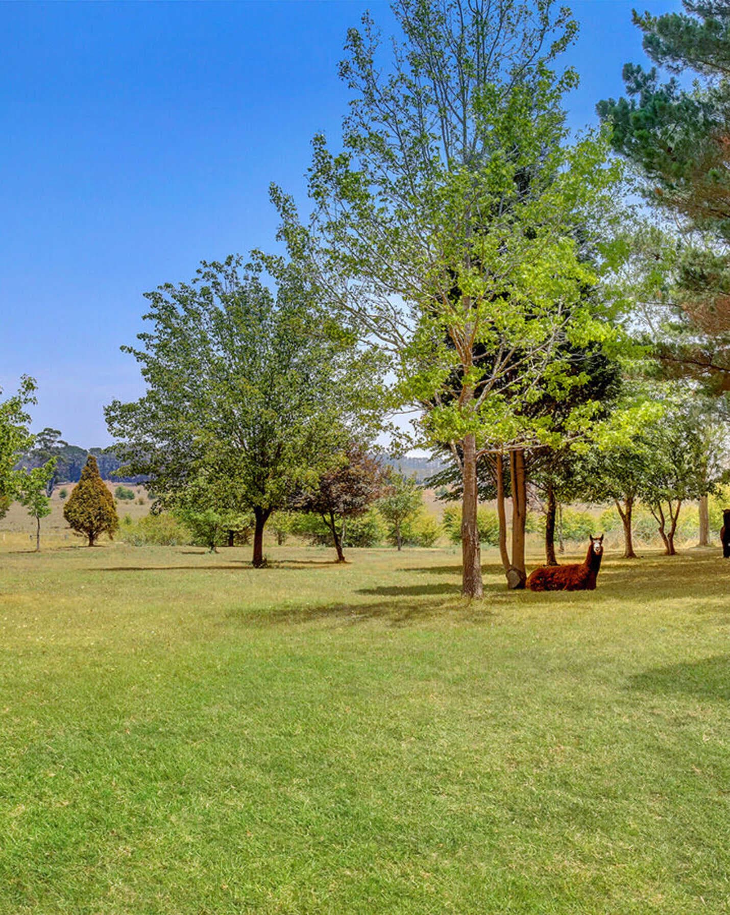 23 Phillip Street Burradoo, Burradoo - Thumbnail 4