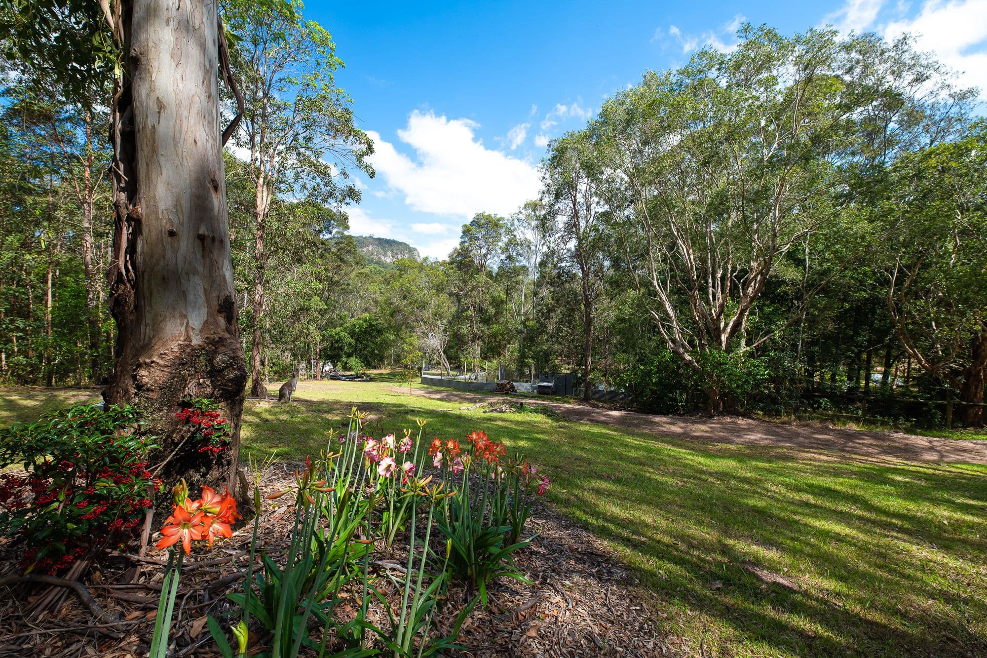 21 Elouera Drive, Ninderry QLD 4561, Ninderry - Thumbnail 8