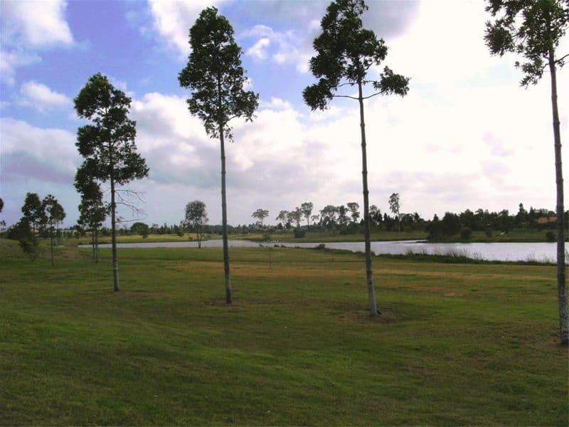 20  Golden Grove Court, ELI WATERS QLD 4655, Eli Waters - Thumbnail 4