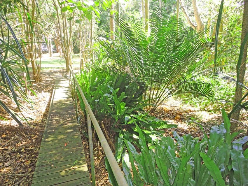 Lot 28 Gillies Highway, ATHERTON QLD 4883, Atherton - Thumbnail 3