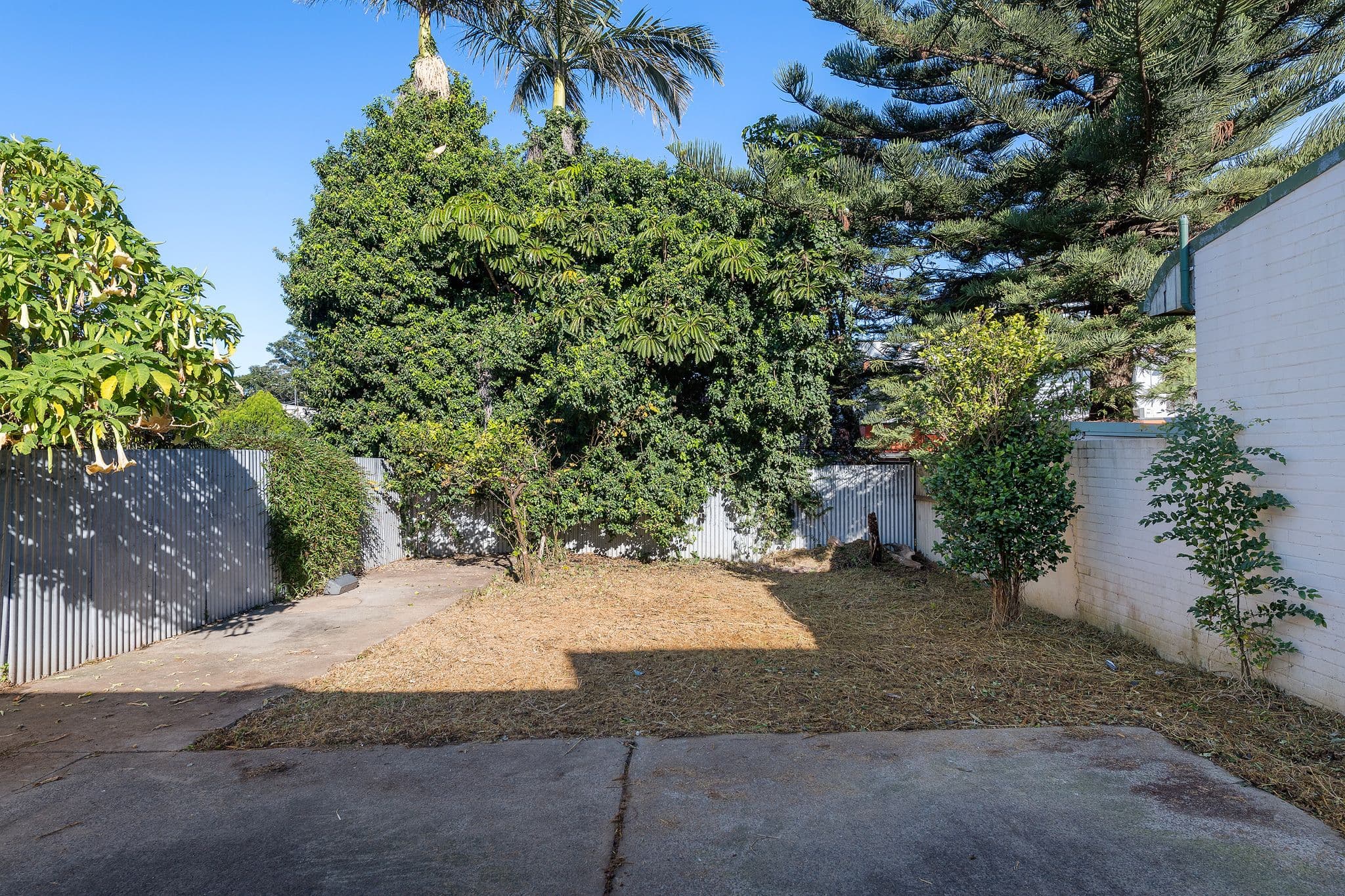 42 Edith Street, St Peters NSW 2044, St Peters - Thumbnail 3