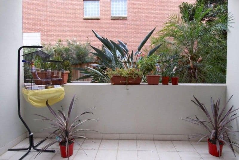 18 Brickfield Street, NORTH PARRAMATTA NSW 2151, North Parramatta - Thumbnail 4