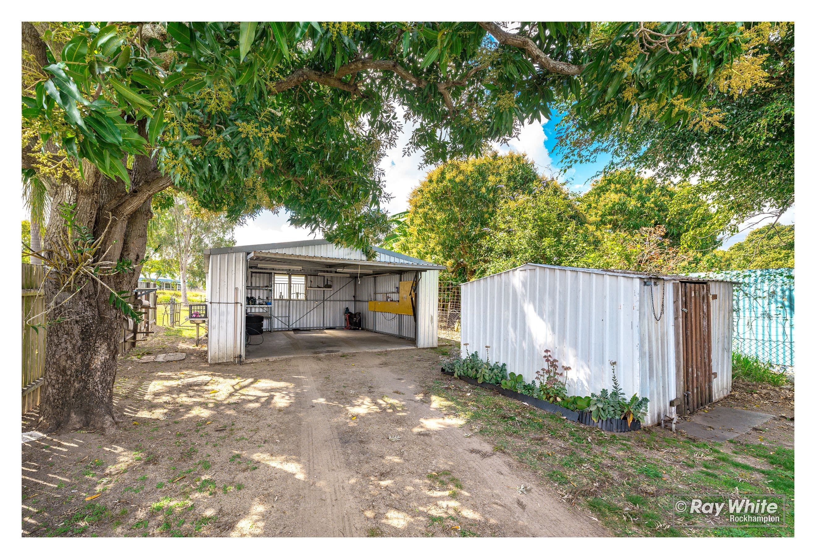 59 Fitzpatrick Street, Berserker QLD 4701, Berserker - Thumbnail 7