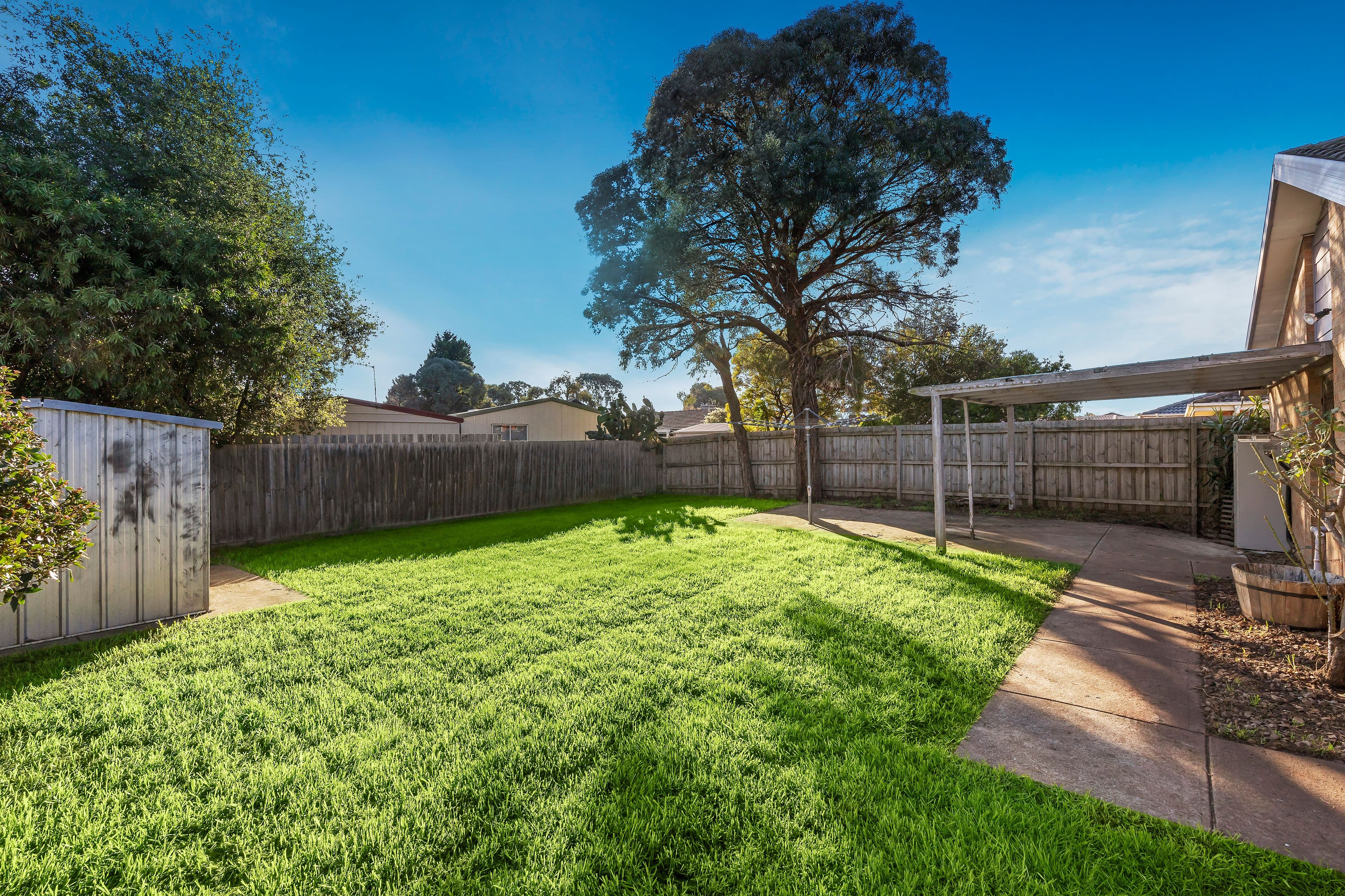229 Betula Avenue, Mill Park VIC 3082, Mill Park - Thumbnail 5