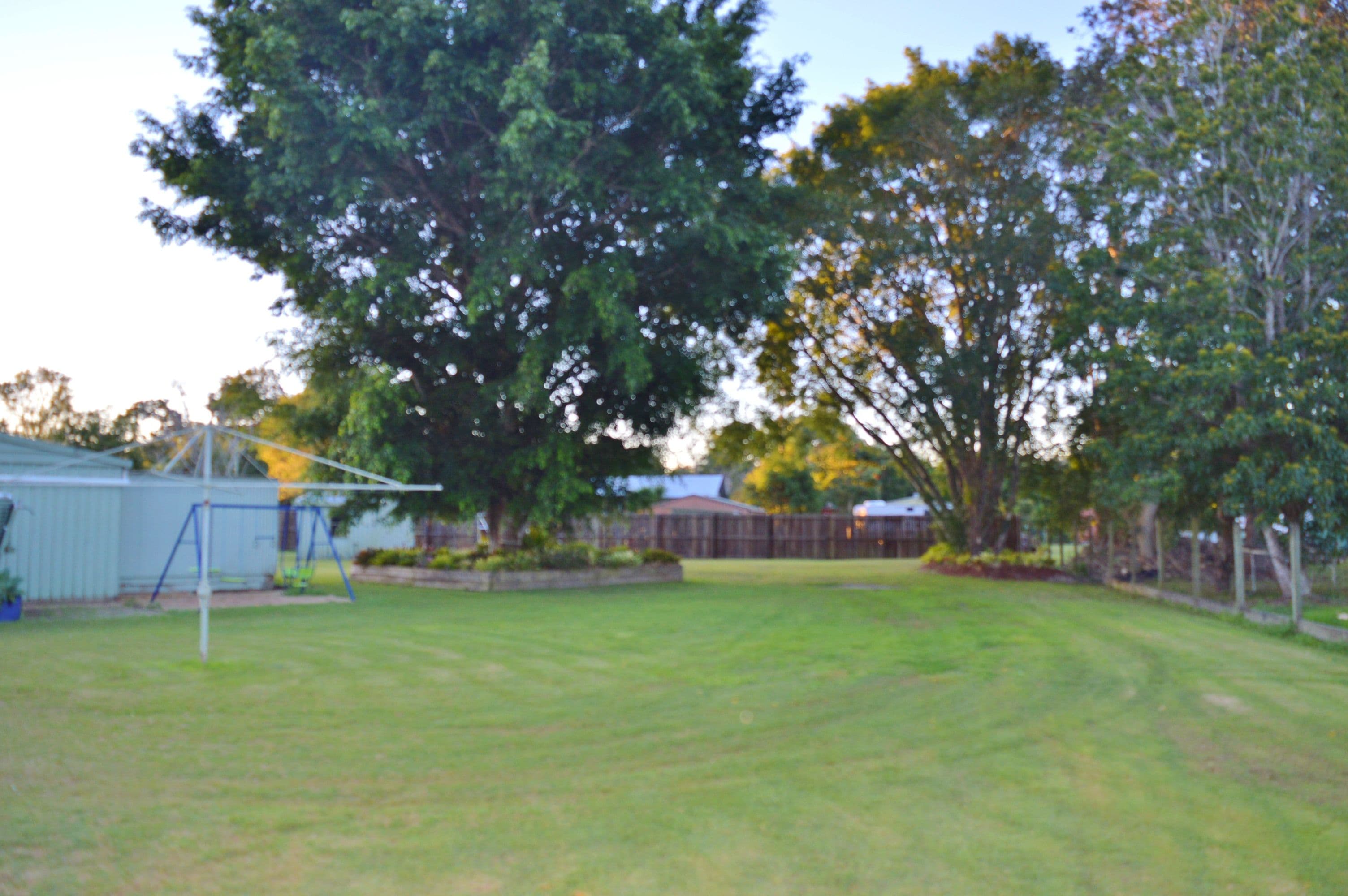 20 Cabrera Crescent, Beerwah QLD 4519, Beerwah - Thumbnail 3