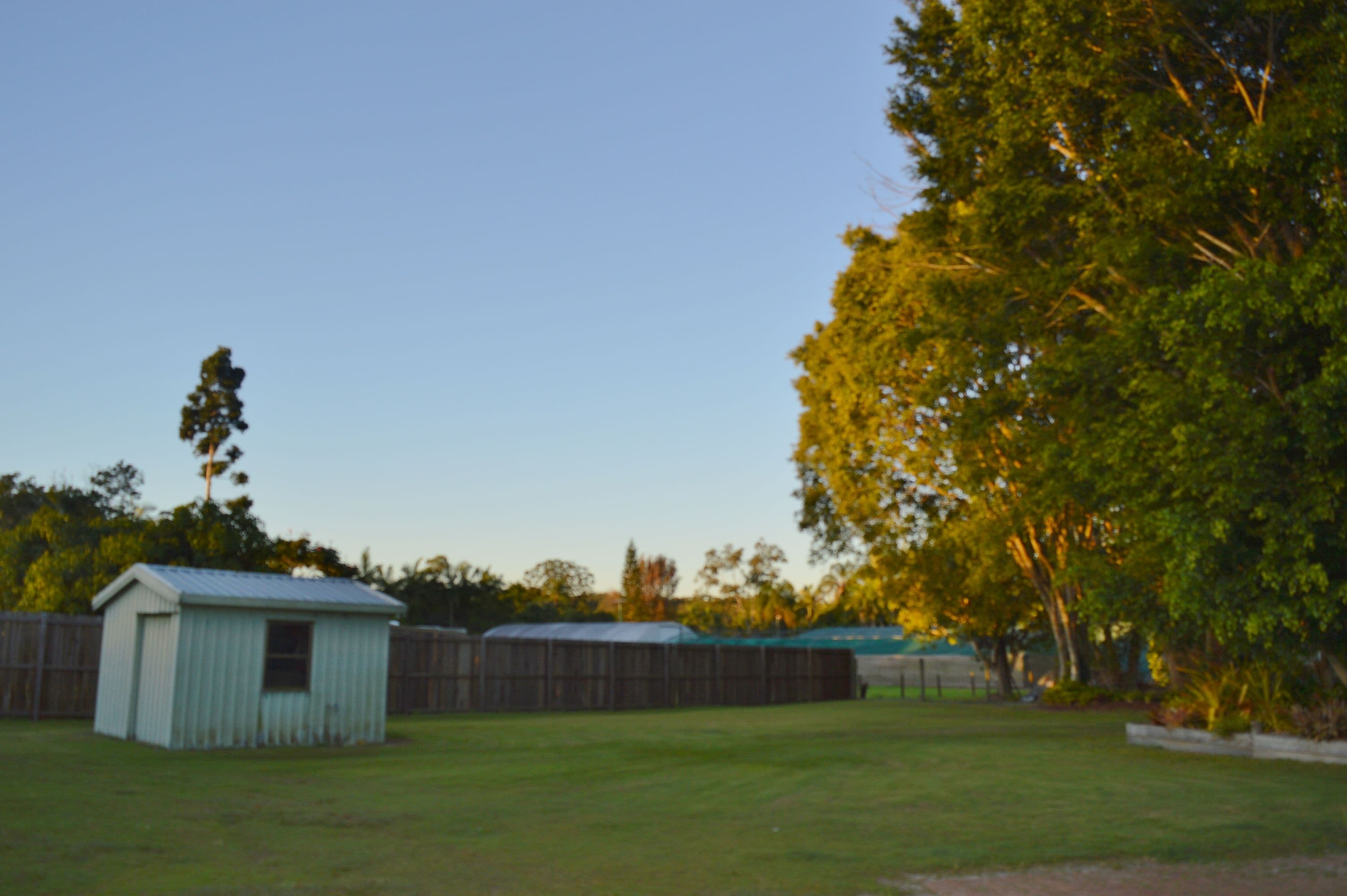 20 Cabrera Crescent, Beerwah QLD 4519, Beerwah - Thumbnail 8
