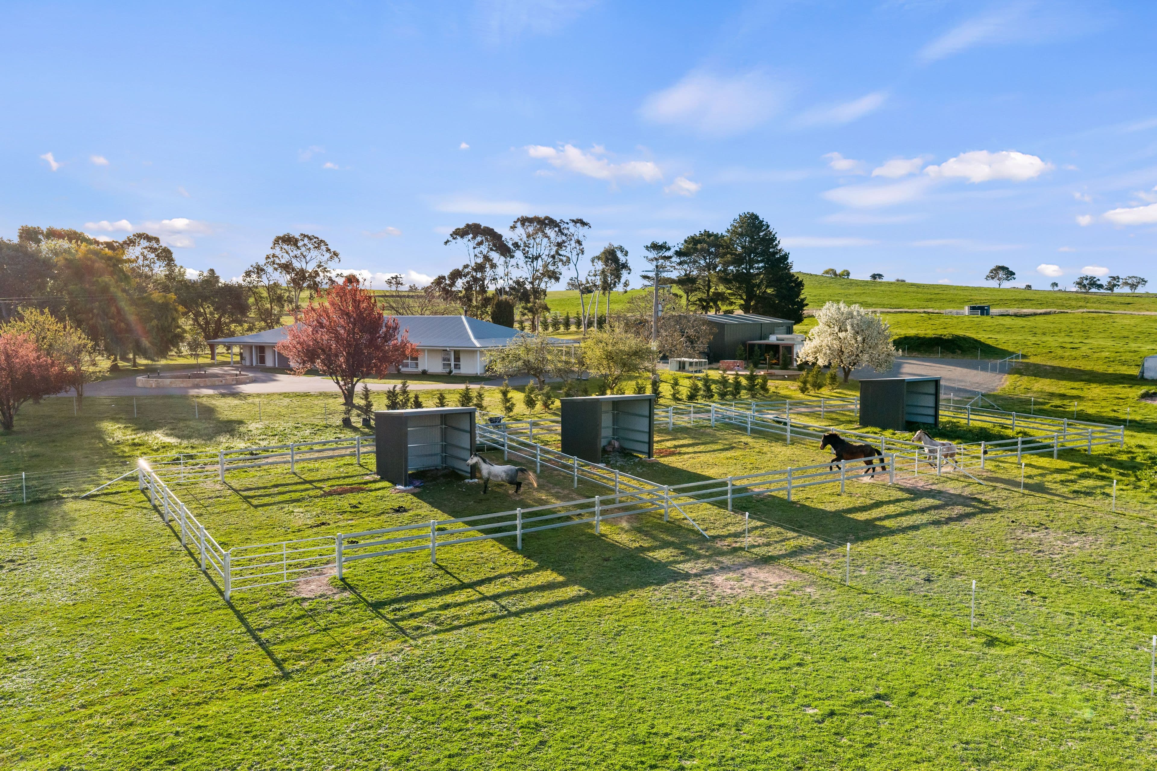 225 Southwell Road, Wallaroo NSW 2618, Wallaroo - Thumbnail 5