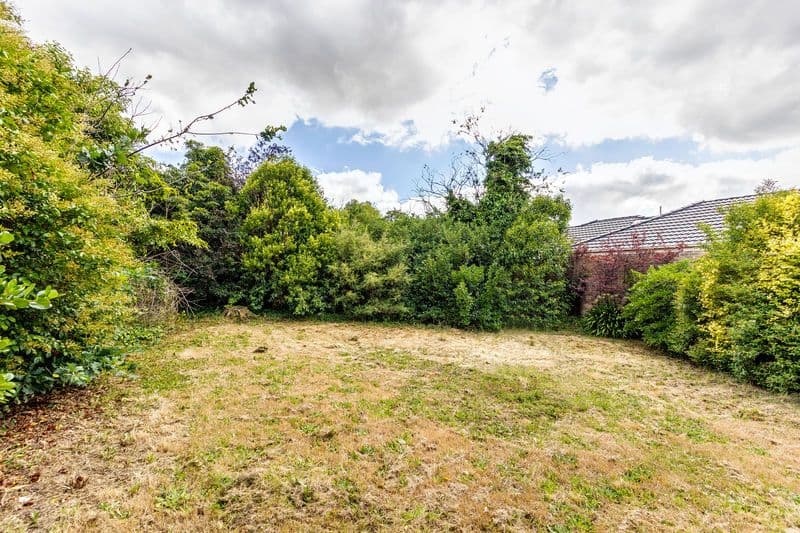 19 Talford Street, DONCASTER EAST VIC 3109, Doncaster East - Thumbnail 3
