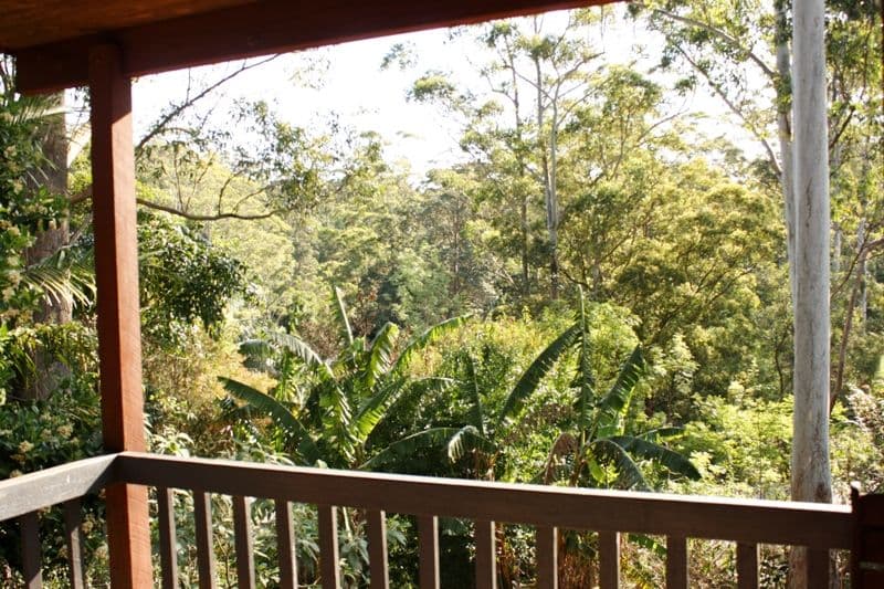 MOUNT TAMBORINE QLD 4272, Tamborine Mountain - Thumbnail 7