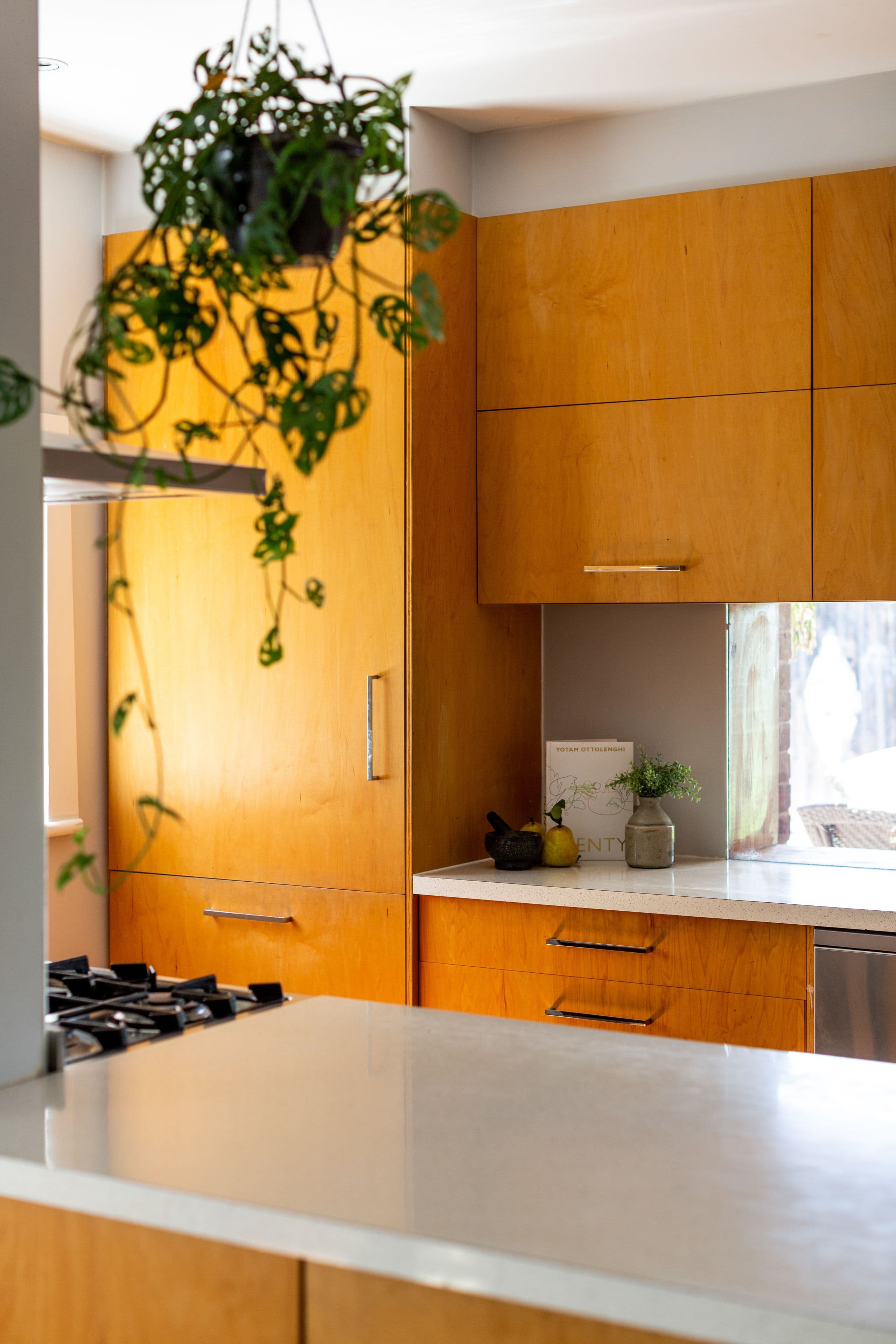 10 Rodney Street, Woodville SA 5011, Woodville - Thumbnail 7