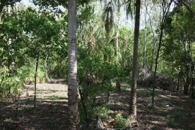 681 Sarina Beach Road, SARINA BEACH QLD 4737, Sarina Beach - Thumbnail 4