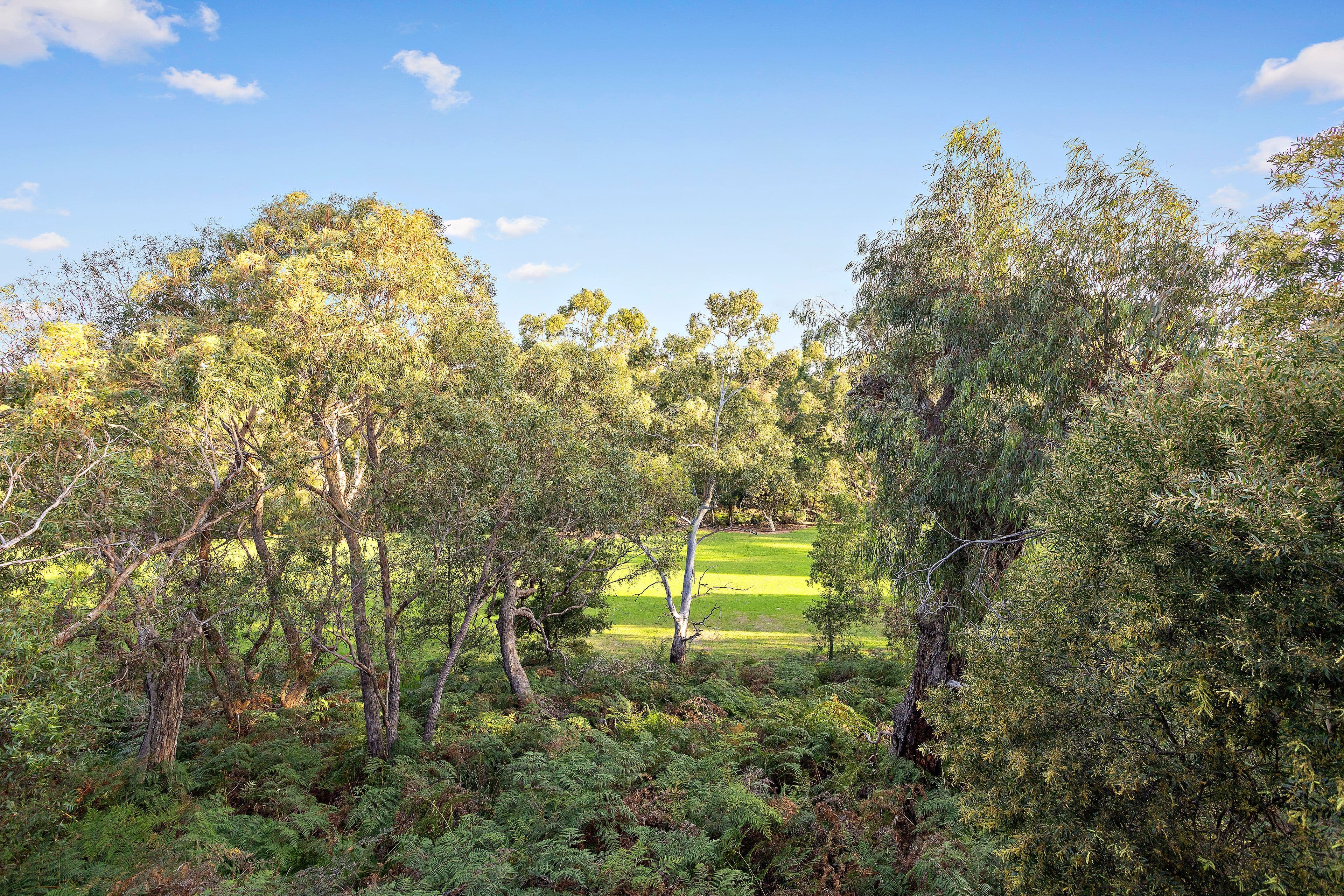 2-4 Oak Park Drive, Chadstone VIC 3148, Chadstone - Thumbnail 2