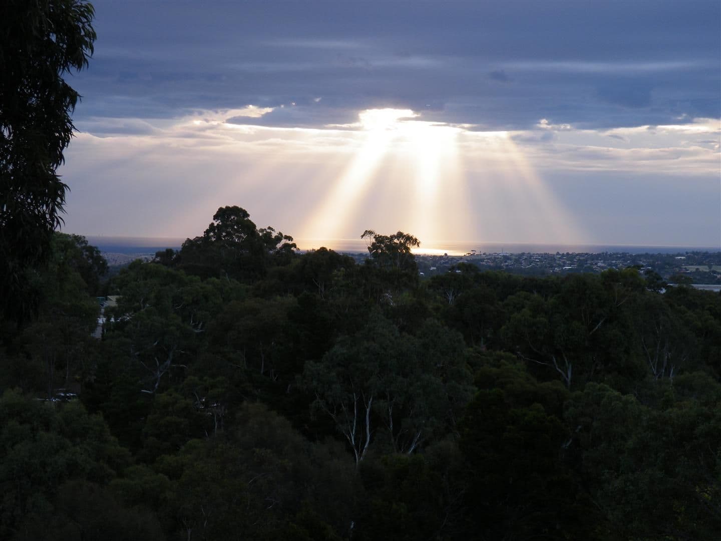 23 Nayook Grove, HAPPY VALLEY SA 5159, Happy Valley - Thumbnail 2