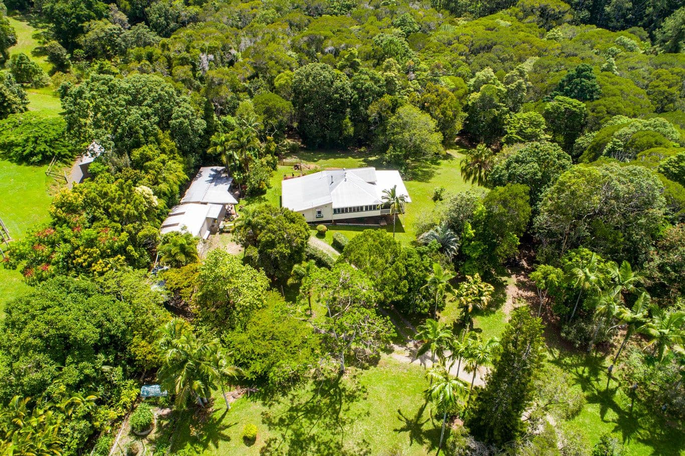 137 Veivers Drive, Speewah QLD 4881, Speewah - Thumbnail 3