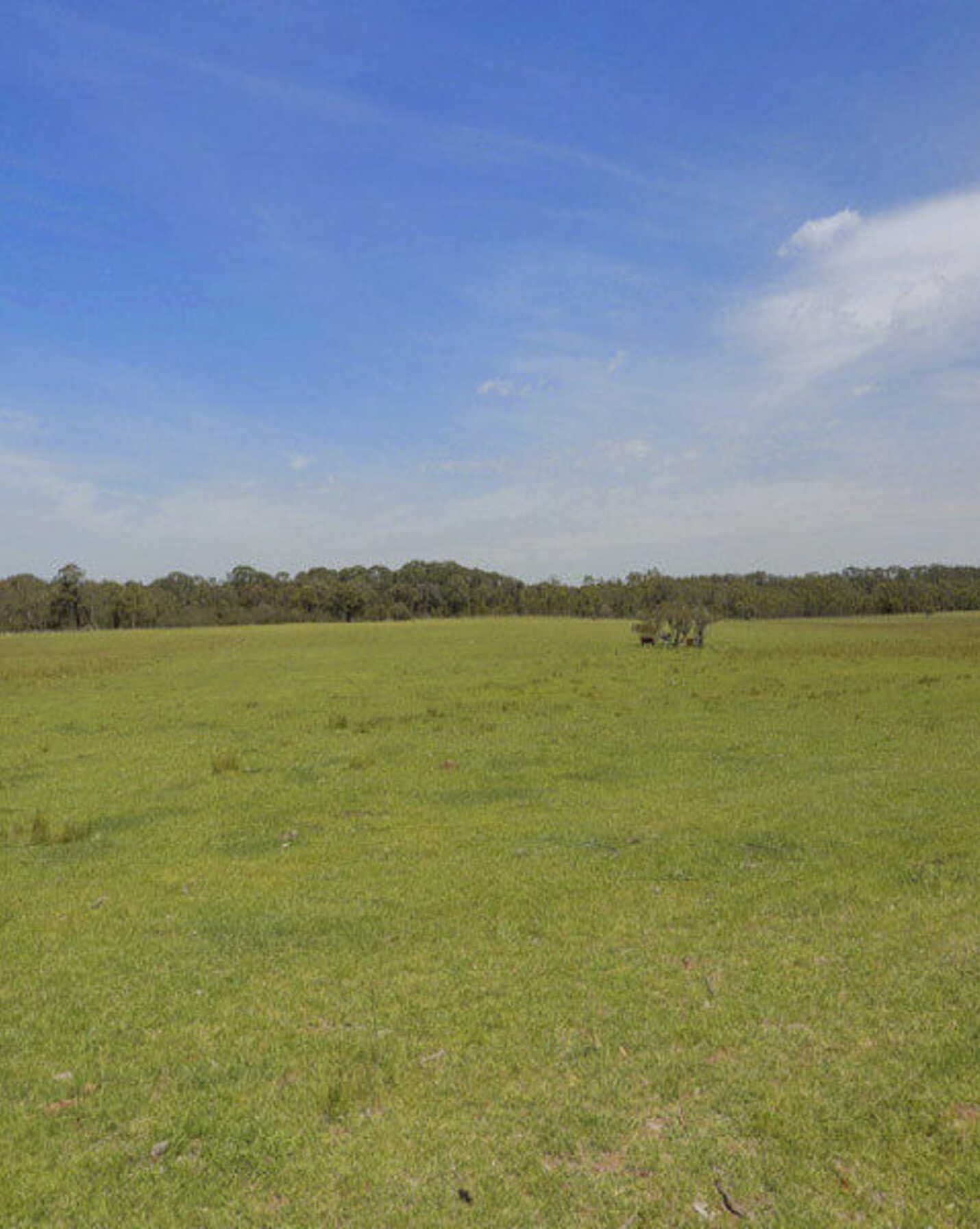 Lot 4 Wombeyan Caves Road High Range, Range - Thumbnail 3