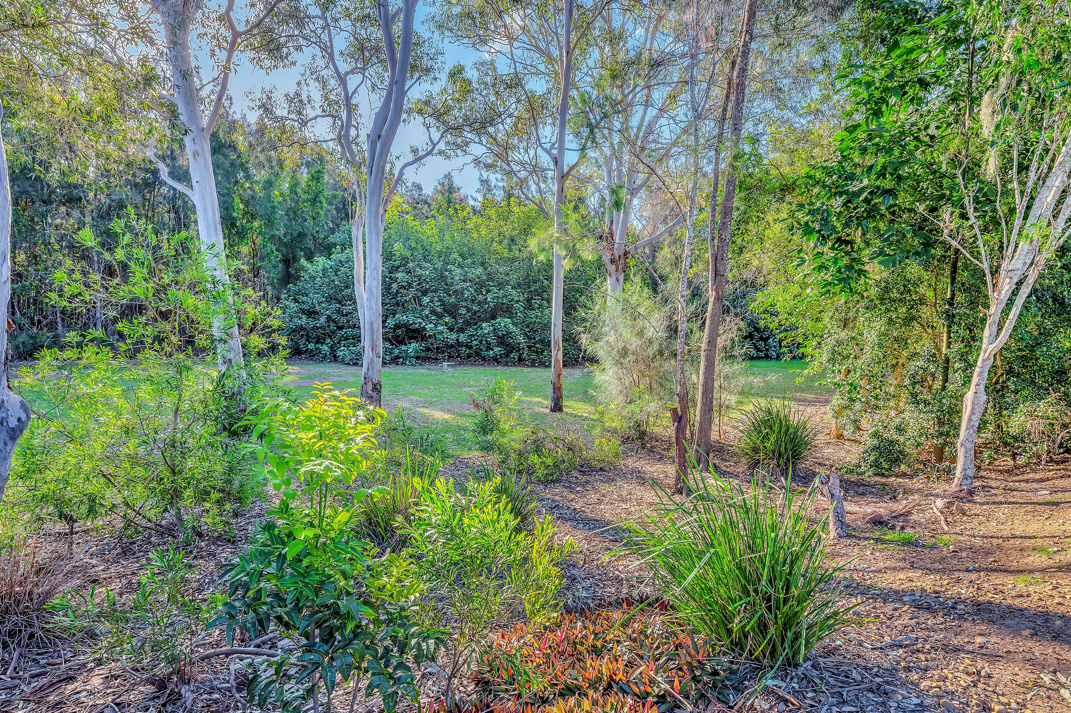 5 Melastoma Way, Arundel QLD 4214, Arundel - Thumbnail 3