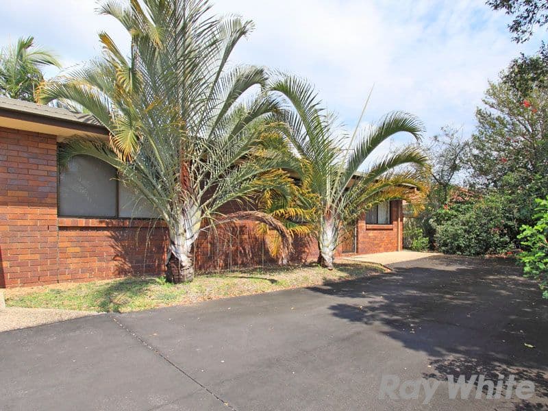 10 Neil Street, Caboolture QLD 4510, Caboolture - Thumbnail 3