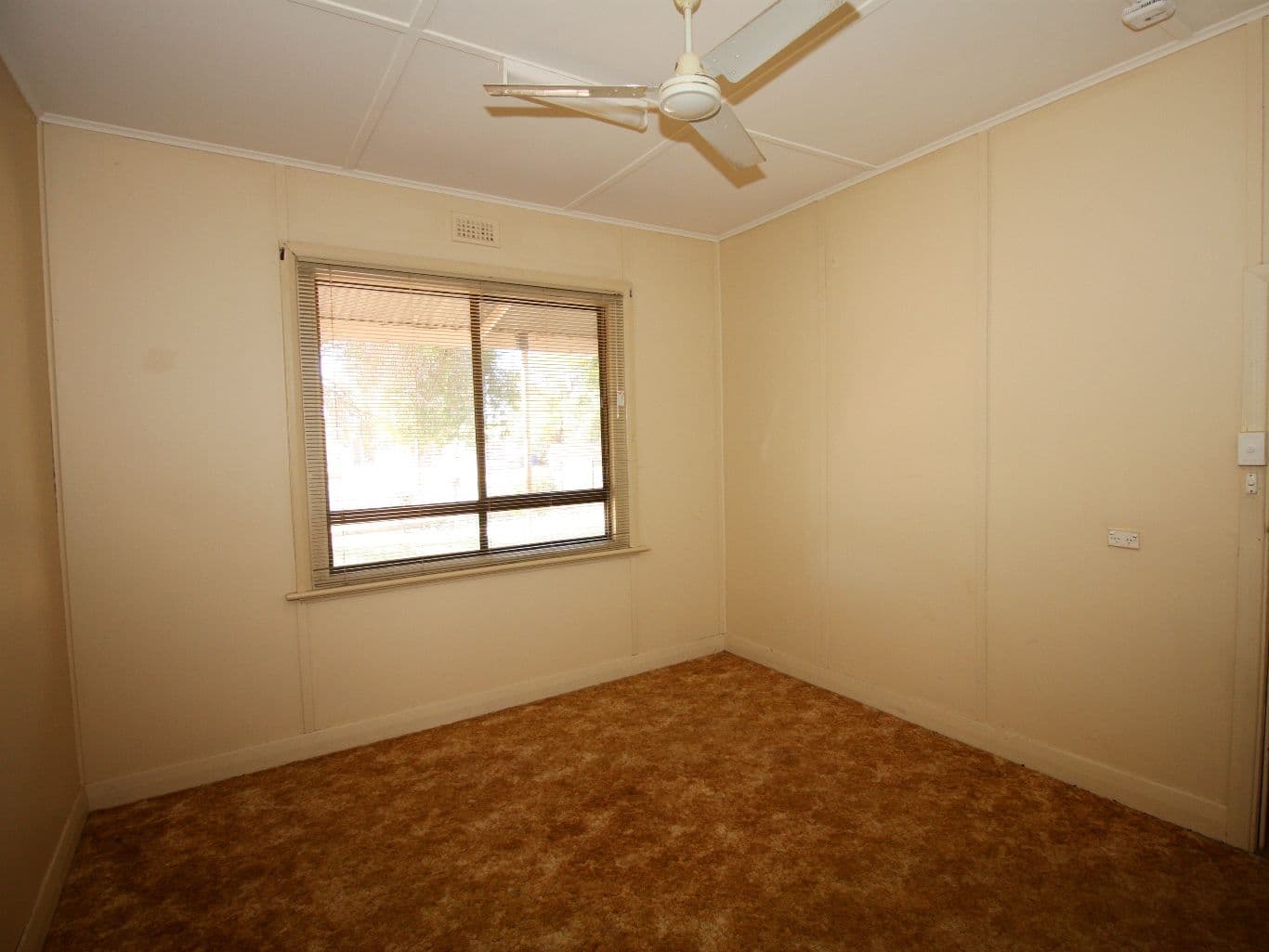 14 Shiraz Street, Berri SA 5343, Berri - Thumbnail 4