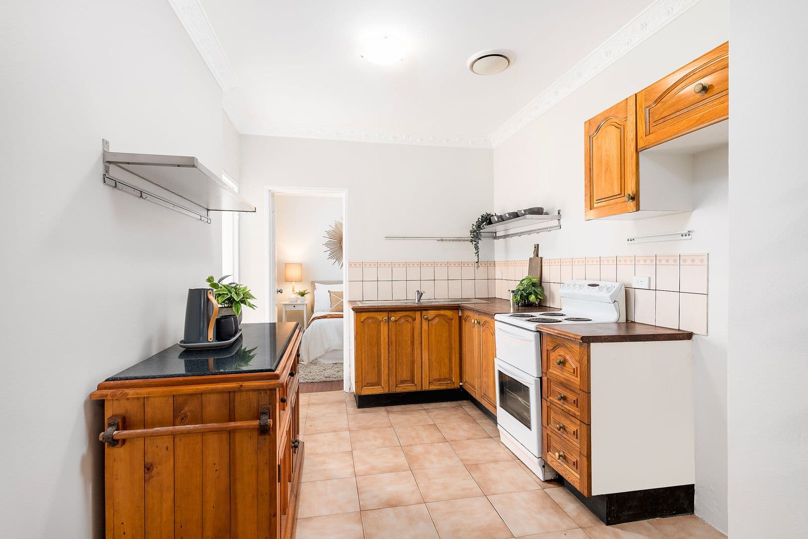 42 Park Road, Sydenham NSW 2044, Sydenham - Thumbnail 3