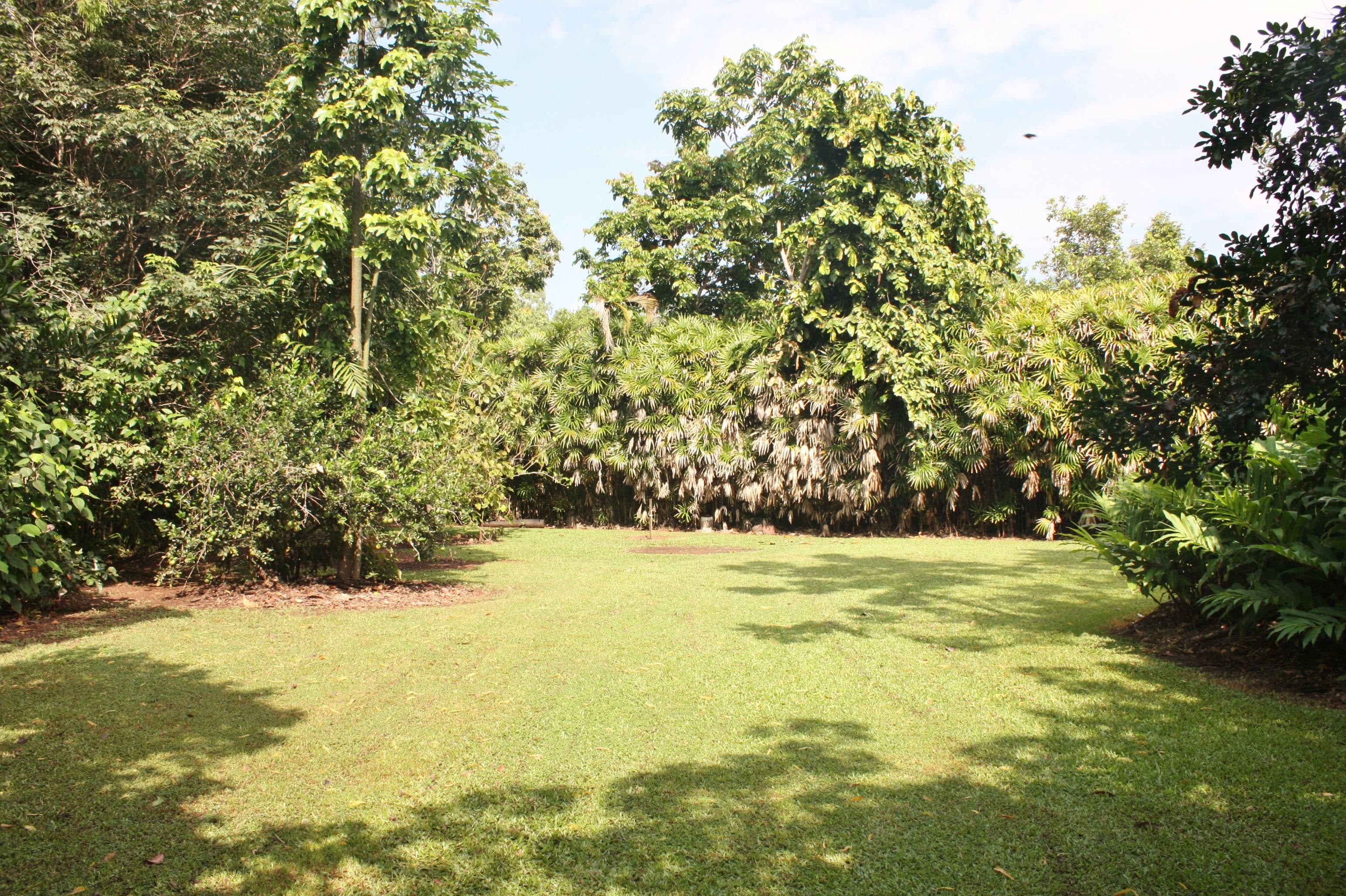 69 - 71 King Street, Gordonvale QLD 4865, Gordonvale - Thumbnail 6