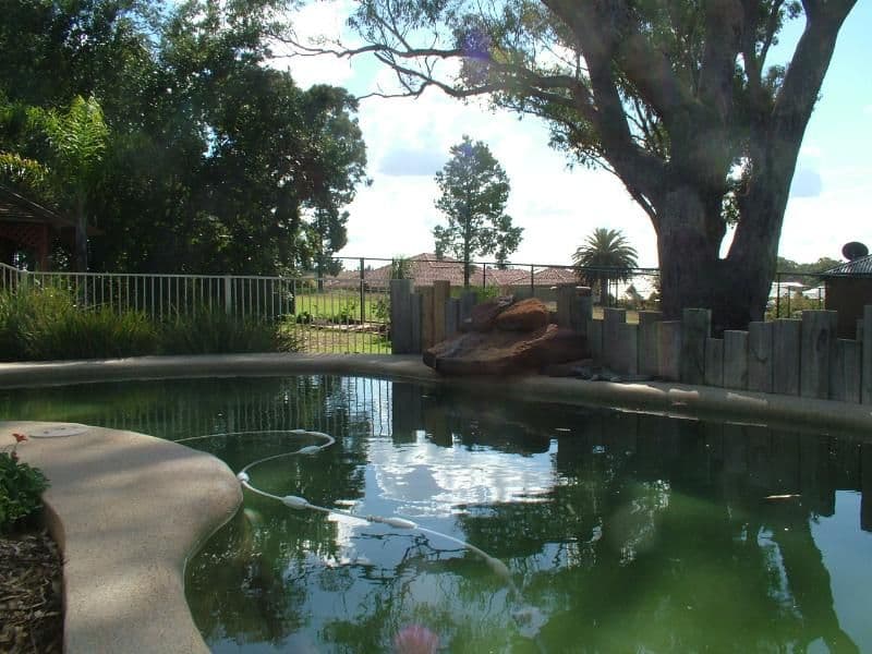 12 Willowbend Way, DUBBO NSW 2830, Dubbo - Thumbnail 6