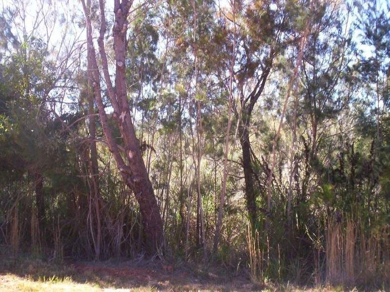 16 Bauhinia Drive, Russell Island QLD 4184, Russell Island - Thumbnail 2