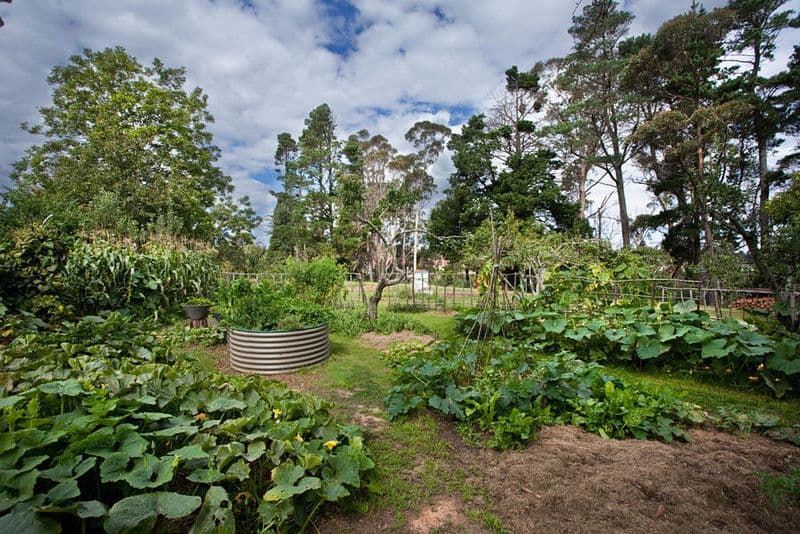 12 Kanimbla Street, MEDLOW BATH NSW 2780, Medlow Bath - Thumbnail 4
