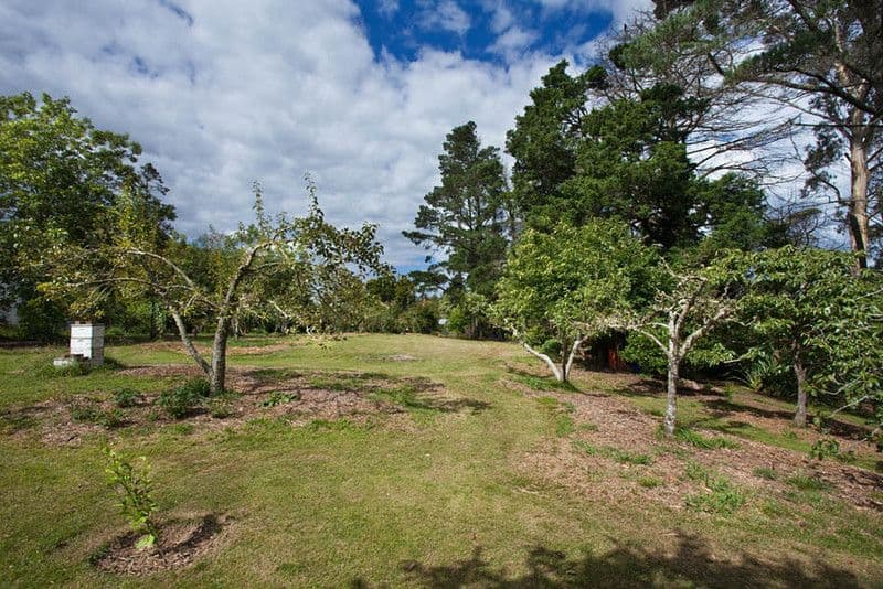 12 Kanimbla Street, MEDLOW BATH NSW 2780, Medlow Bath - Thumbnail 5