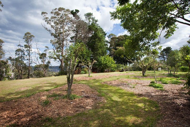 12 Kanimbla Street, MEDLOW BATH NSW 2780, Medlow Bath - Thumbnail 6