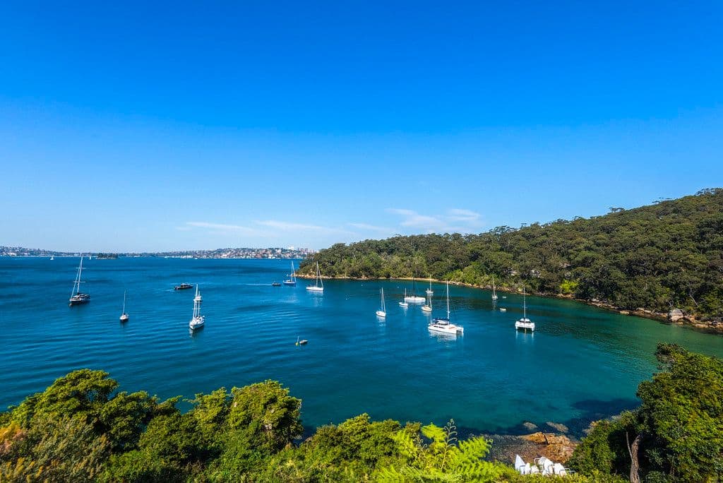 42 Iluka Road, Mosman NSW 2088, Mosman - Thumbnail 7