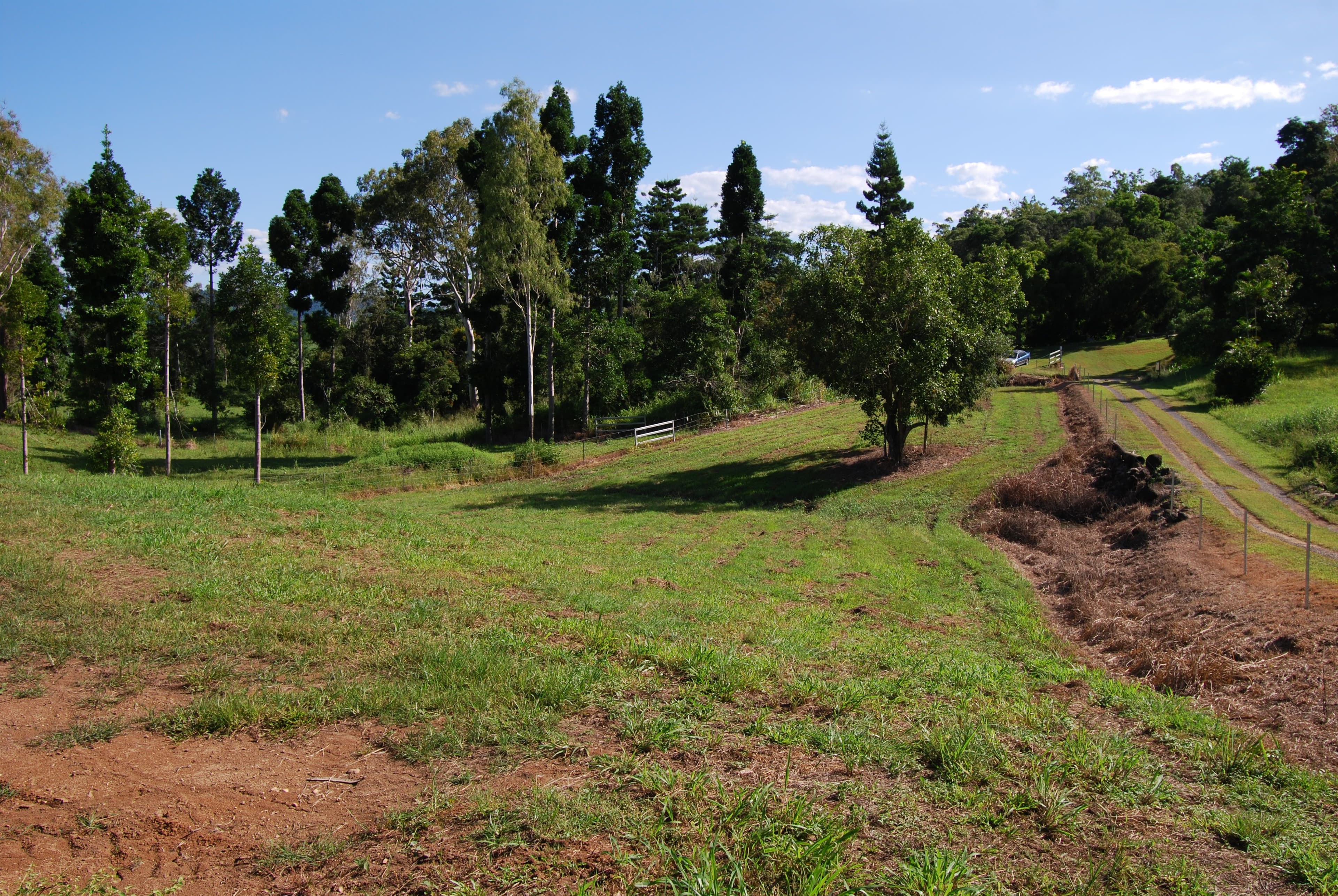 Lot 3 Domenica Road, Sugarloaf QLD 4800, Sugarloaf - Image 1