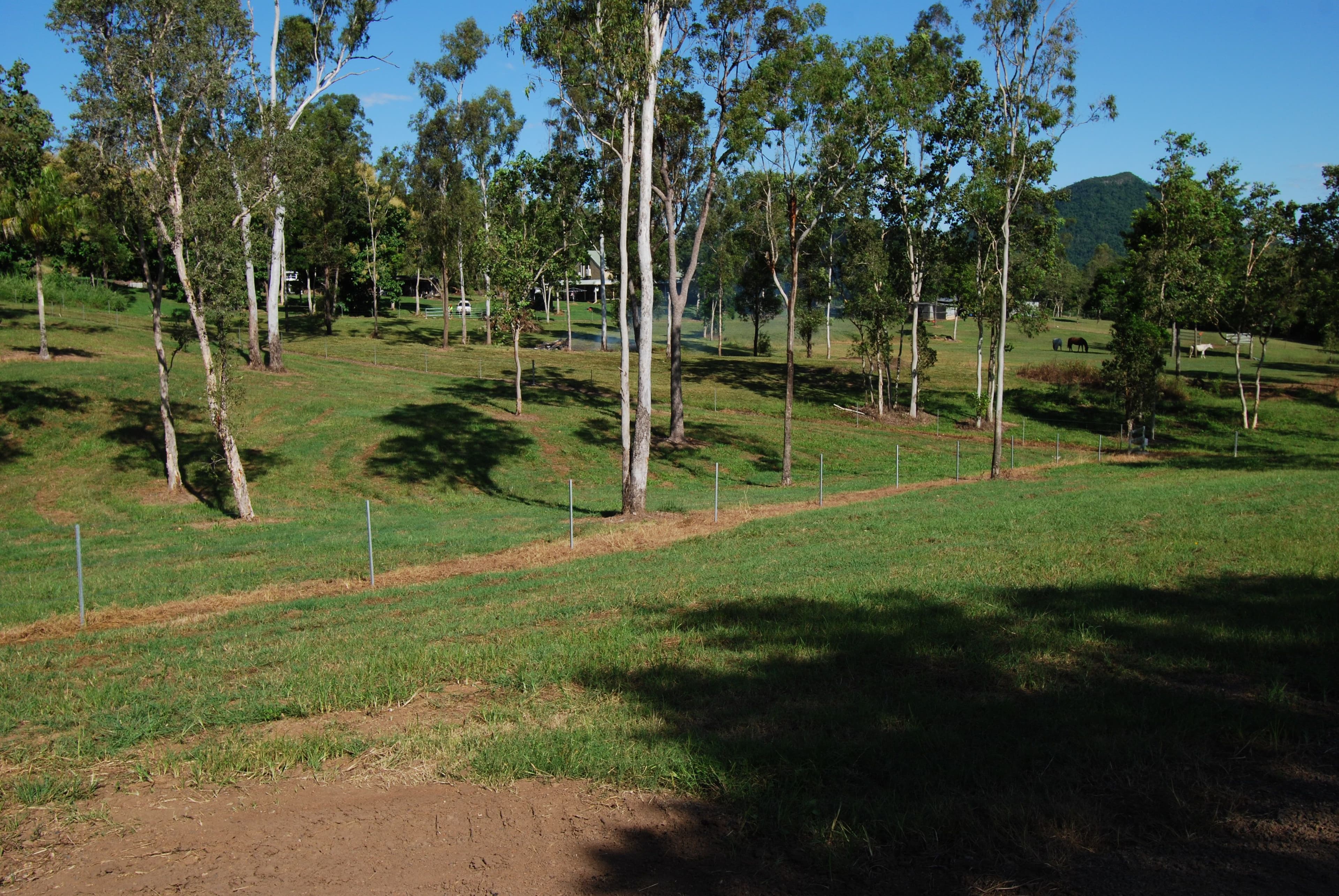 Lot 3 Domenica Road, Sugarloaf QLD 4800, Sugarloaf - Thumbnail 7