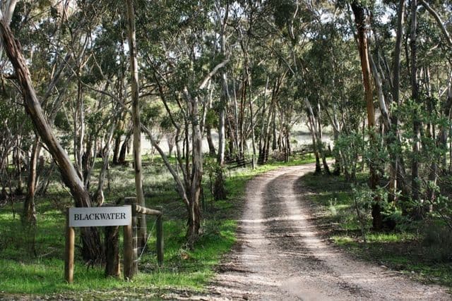 Lot 6 Emu Flat Road, ARMAGH SA 5453, Armagh - Thumbnail 2
