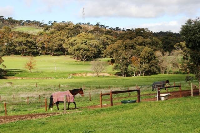 Lot 6 Emu Flat Road, ARMAGH SA 5453, Armagh - Thumbnail 8