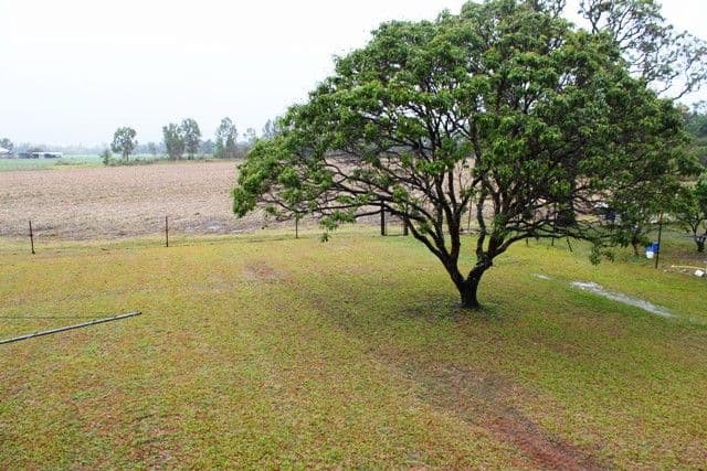 20 Fairford Road, INGHAM QLD 4850, Ingham - Thumbnail 6