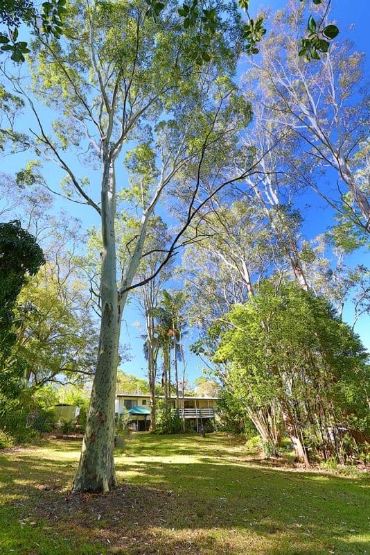11 Brandenburg Road, MOOLOOLAH VALLEY QLD 4553, Mooloolah Valley - Thumbnail 5