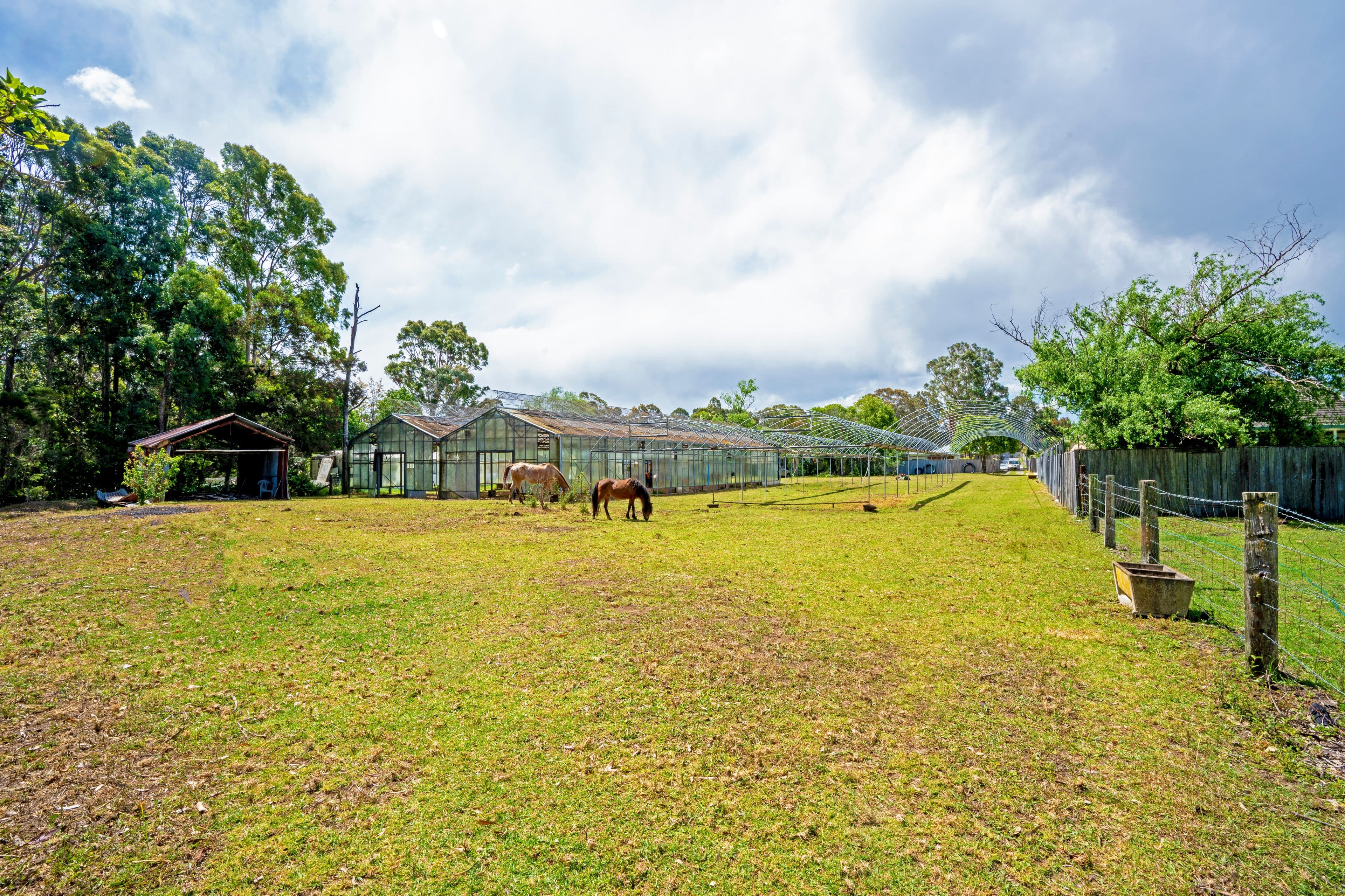 48 Hillcrest Avenue, South Nowra NSW 2541, South Nowra - Thumbnail 7