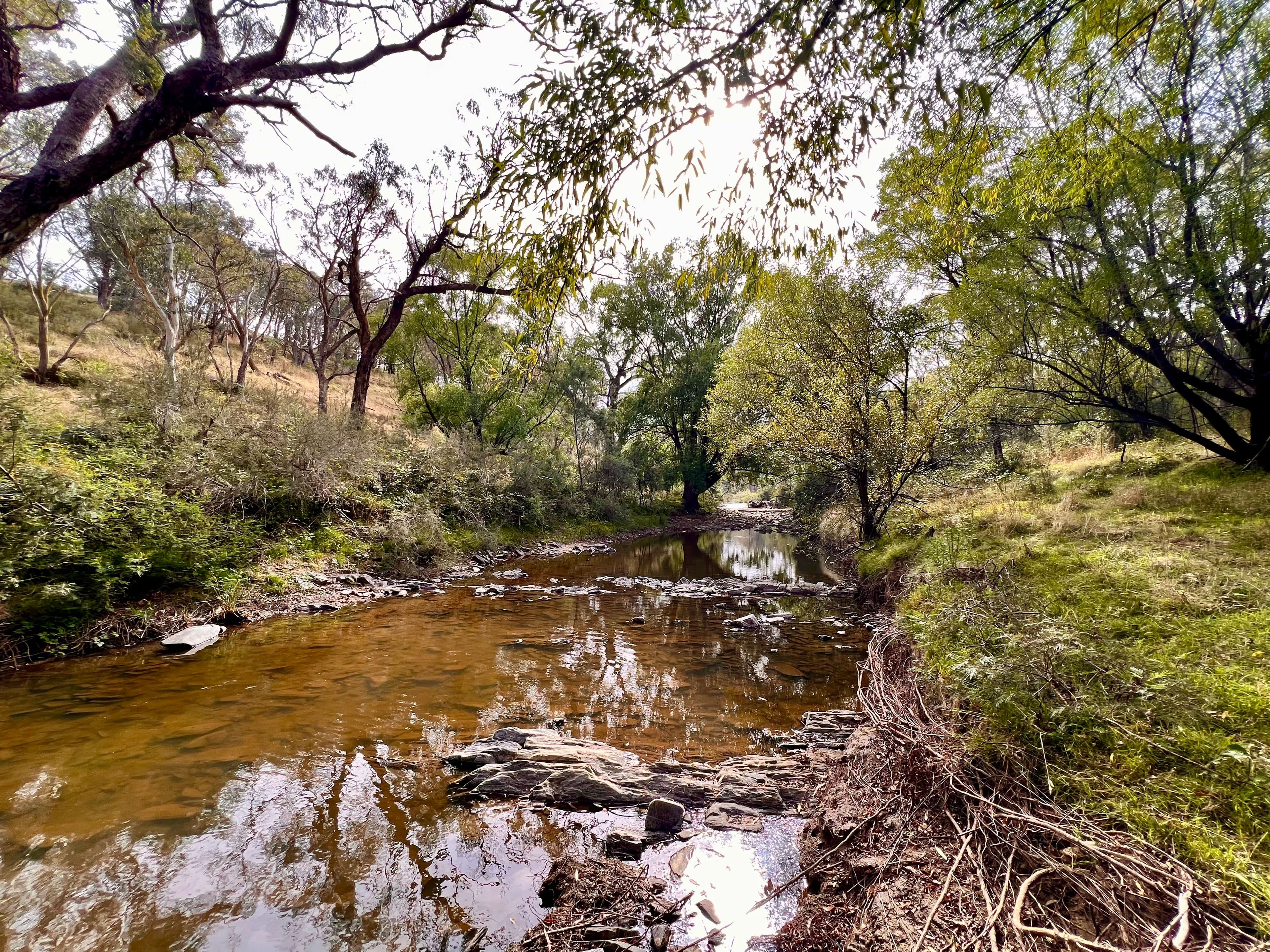 233 Brooks Creek Lane, Gundaroo NSW 2620, Gundaroo - Image 1