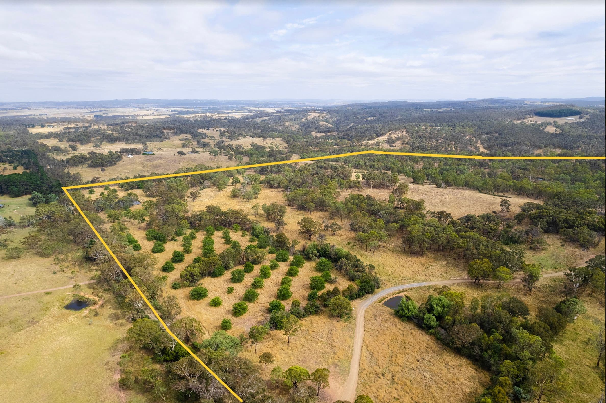 233 Brooks Creek Lane, Gundaroo NSW 2620, Gundaroo - Thumbnail 4
