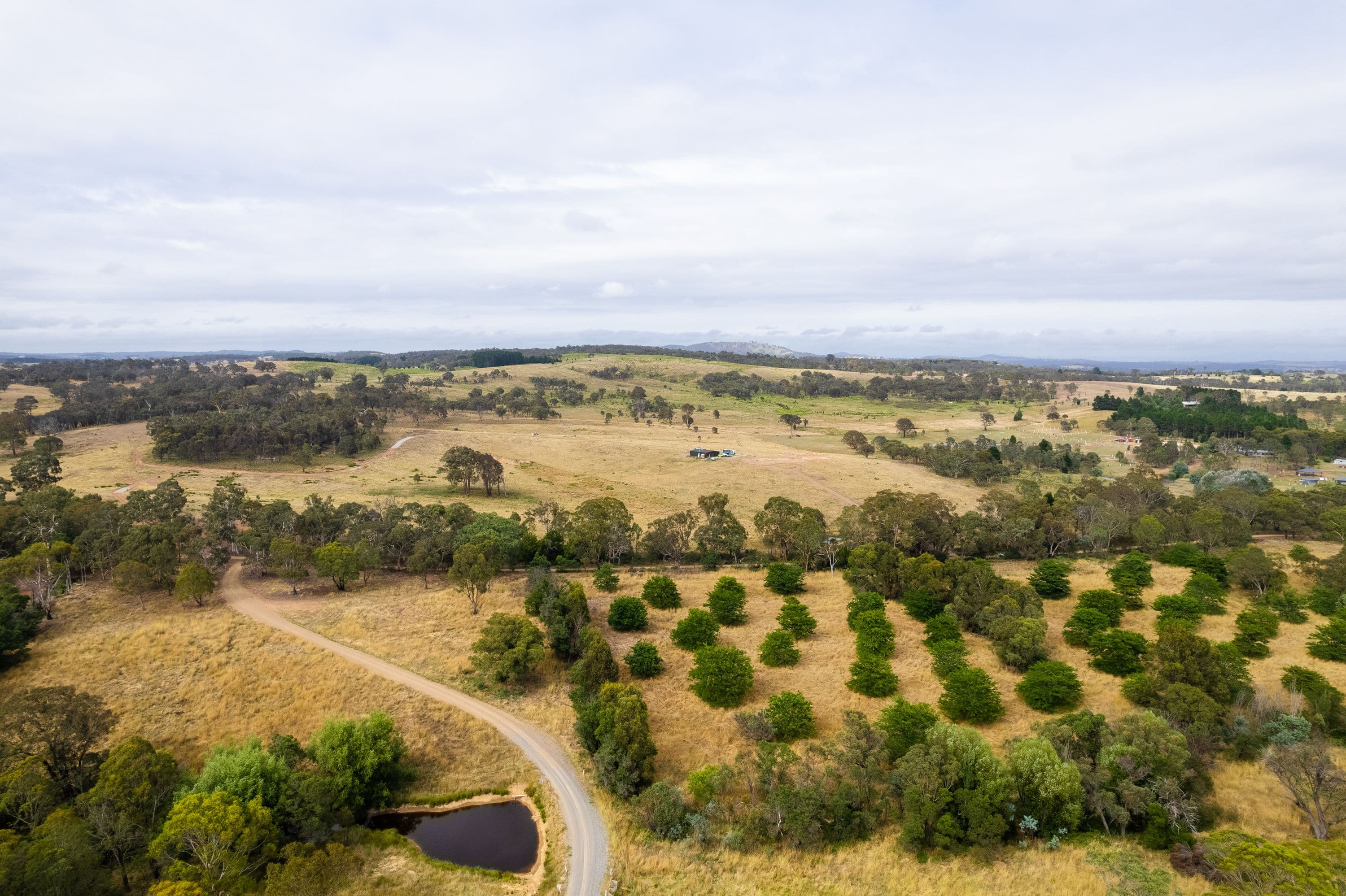 233 Brooks Creek Lane, Gundaroo NSW 2620, Gundaroo - Thumbnail 5