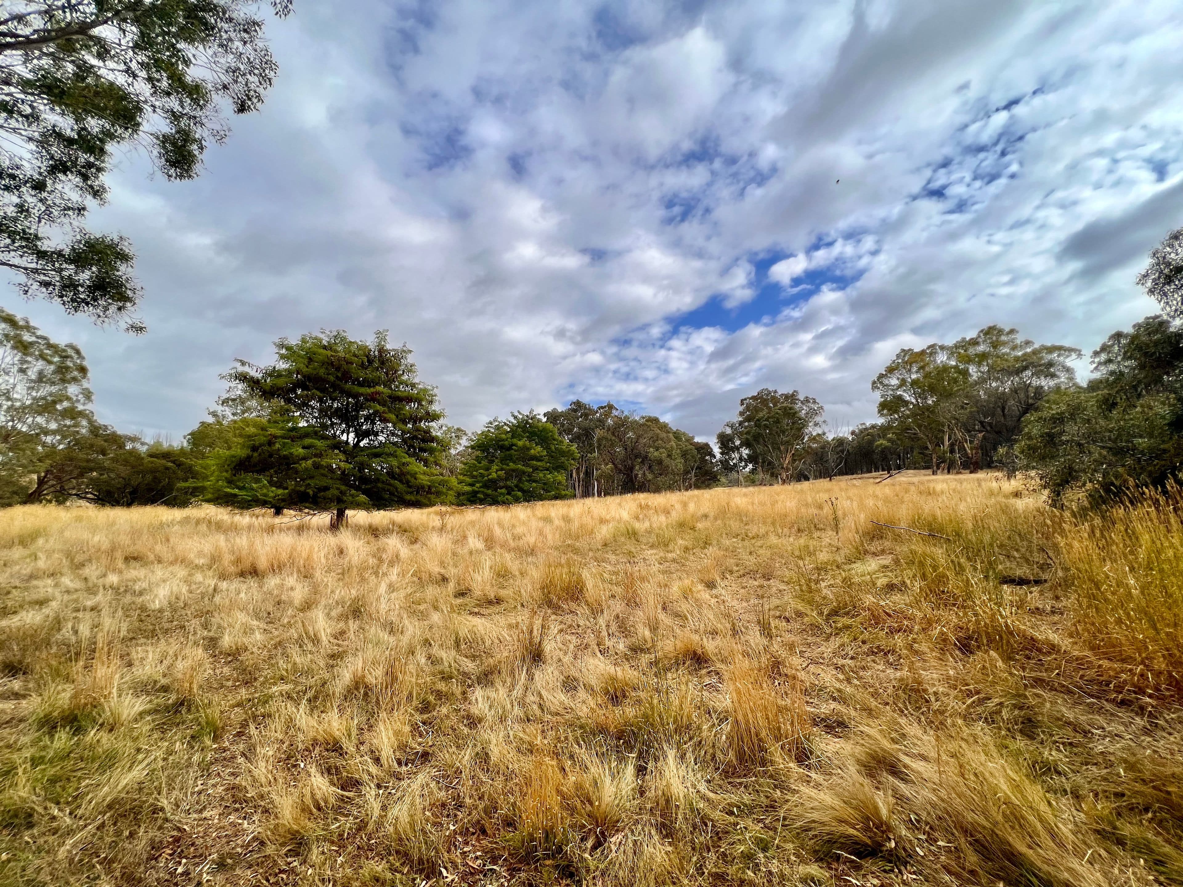 233 Brooks Creek Lane, Gundaroo NSW 2620, Gundaroo - Thumbnail 6