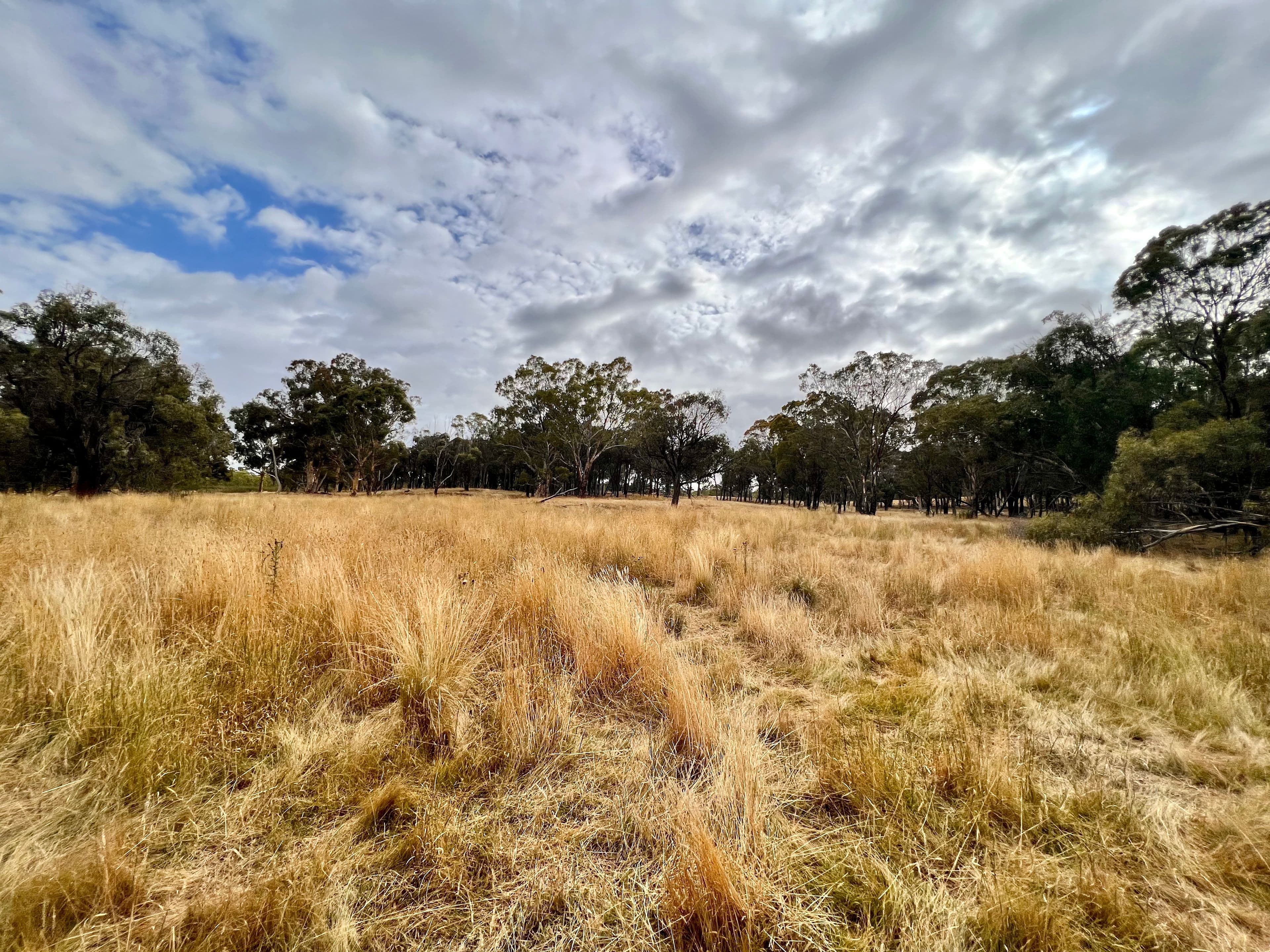 233 Brooks Creek Lane, Gundaroo NSW 2620, Gundaroo - Thumbnail 7